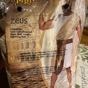 Adult large Halloween costume.